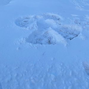 Meet your Posher, Jerah